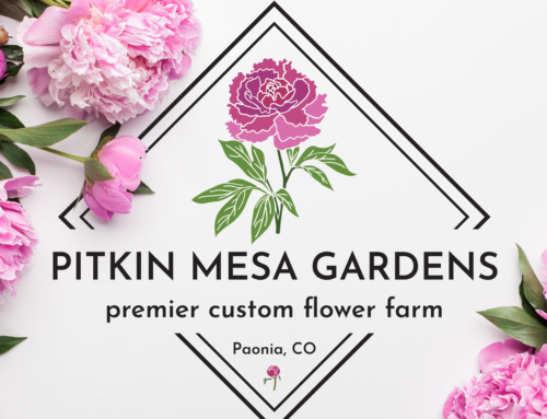 Flower Farm Logo Design